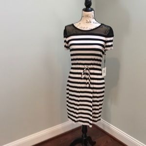 Calvin Klein black and white dress